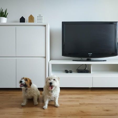 Uroczy Apartament Pod Skarpa Wadowice Eksteriør bilde